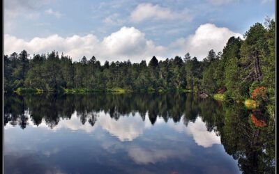 Rejvíz – Velké Mechové jezírko (6 km)