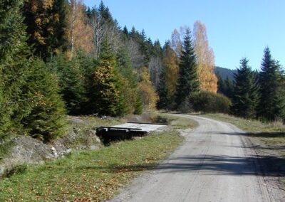 plešné jezero s kočárkem