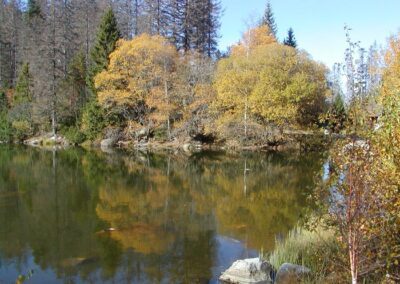 plešné jezero s kočárkem