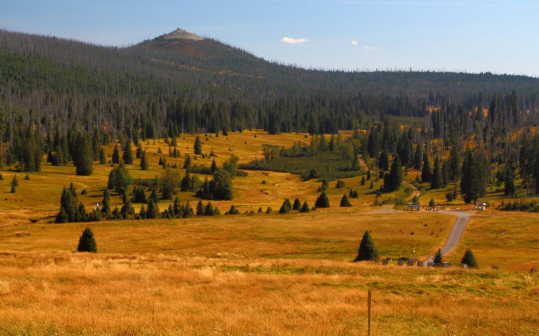 šumava s kočárkem