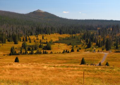 šumava s kočárkem