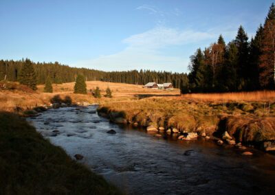 šumava s kočárkem