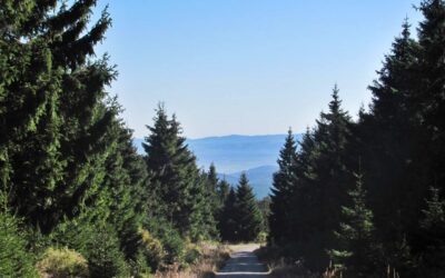 Rozhledna Vrchmezí a Šerlišský Mlýn (11 km)