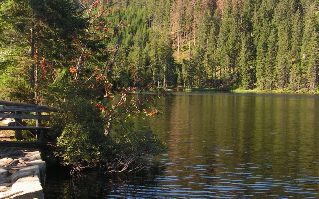 prášilské jezero s dětmi