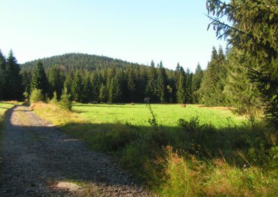 šumava s kočárkem