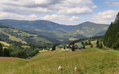 Z Černé hory do Pece pod Sněžkou s kočárkem(6,5 km)