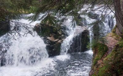 Špindlerův Mlýn – Labský důl (9 km)