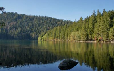 Černé jezero s dětmi (v létě i v zimě)